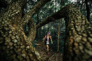 BIB: 
                            <button type="button" onclick="openModal(25670929)" class="btn btn-primary btn-sm float-right btn-popup" data-toggle="modal" data-target=".modal-high-quality">
                        <i class="fas fa-shopping-cart"></i> Add to Cart
                    </button>
                                            <button type="button" onclick="isThisMe(25670929, true)" class="btn btn-success btn-sm float-right btn-popup btn-isme hidden" data-toggle="tooltip" data-placement="bottom" title="นี่คือรูปของคุณใช่ไหม คลิกที่นี่เพื่อเอาเข้าอัลบั้ม">
                        <i class="fas fa-plus"></i> Add to album
                    </button>
                    <button type="button" onclick="isThisMe(25670929, false)" class="btn btn-warning btn-sm float-right btn-popup btn-isnotme hidden">
                        <i class="fas fa-ban"></i> Remove from album
                    </button>